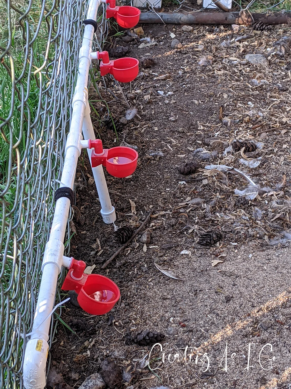 How to Build an Automatic Chicken Waterer Designs by Danielle Graphic and Web Design